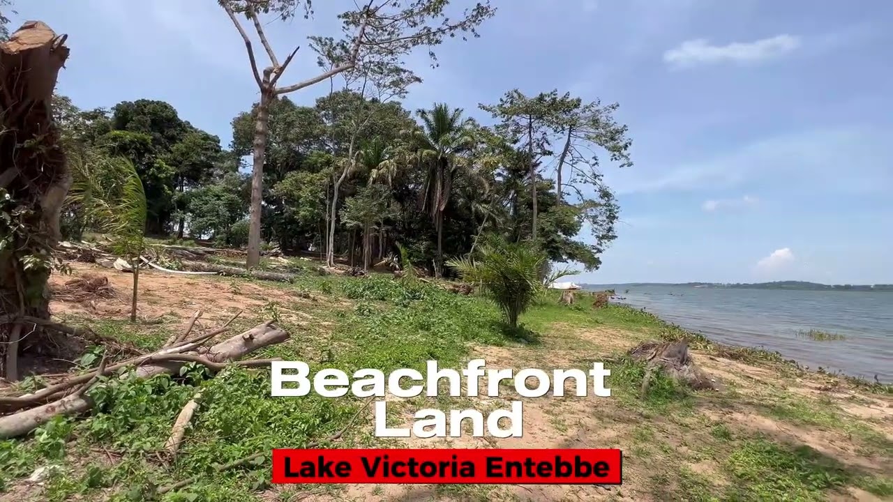 Your Own Piece of Paradise. Beach land on Lake Victoria Entebbe