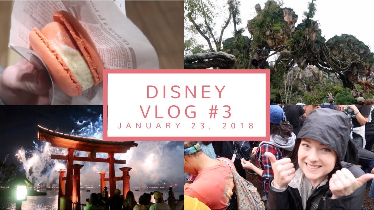 Disney Vlog Day 3 | Flight of Passage, Insane Lines in Pandora, + Beverly Soda | Jan. 23, 2018