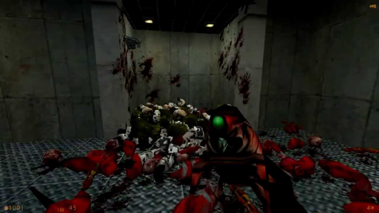 I love Half Life Source