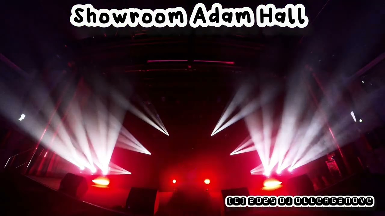 Lichtshow bei Adam Hall