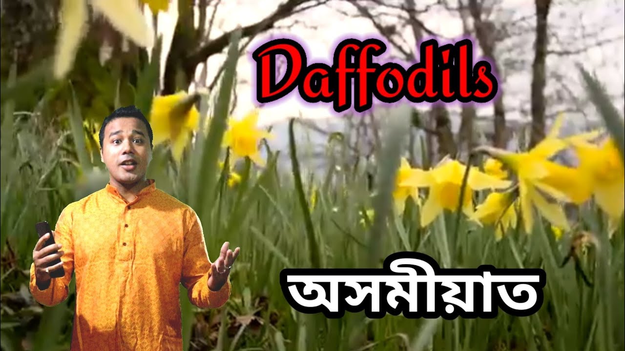 Daffodils by William Wordsworth  Assamese Line by line explanations