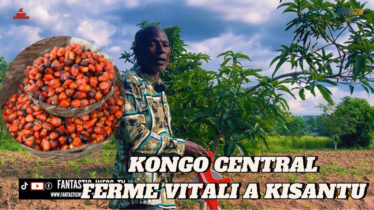 FERME VITALI A KISANTU DIASPORA DEBOUT