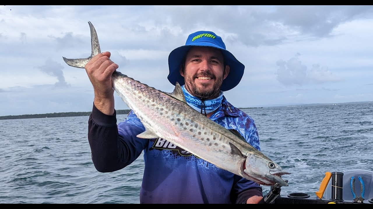 Moreton Bay Spotted Mackerel using paravanes, 29th April 2023 #barcrusher #fishing
