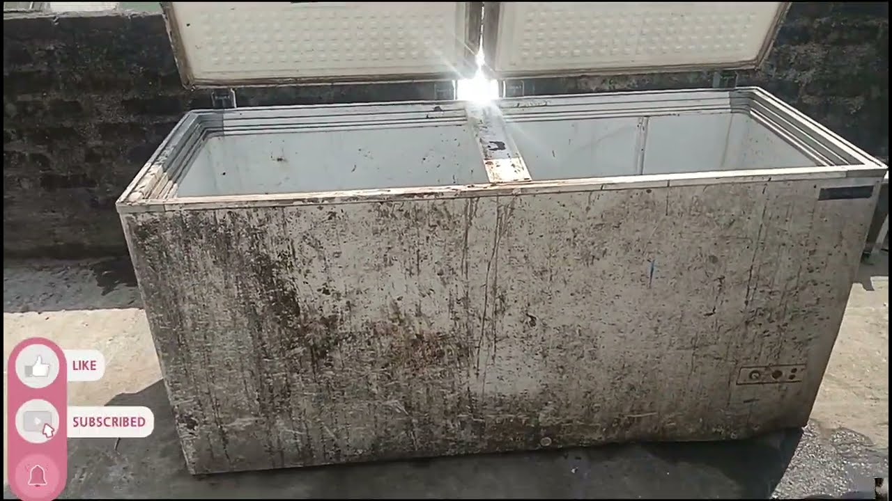 5 feet ice fridge box fish tank setup new update 😱#tamil #shortvideo #fishmarket #kolathur #fishtank