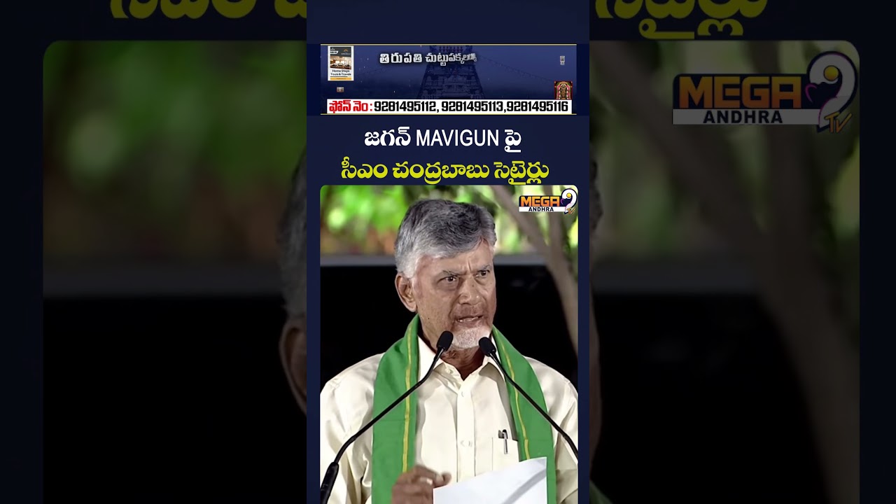 CM Chandrababu Mocks Jagan MAVIGUN #cmchandrababu #ysjagan #mavigun #viralvideo #amaravathi#shorts