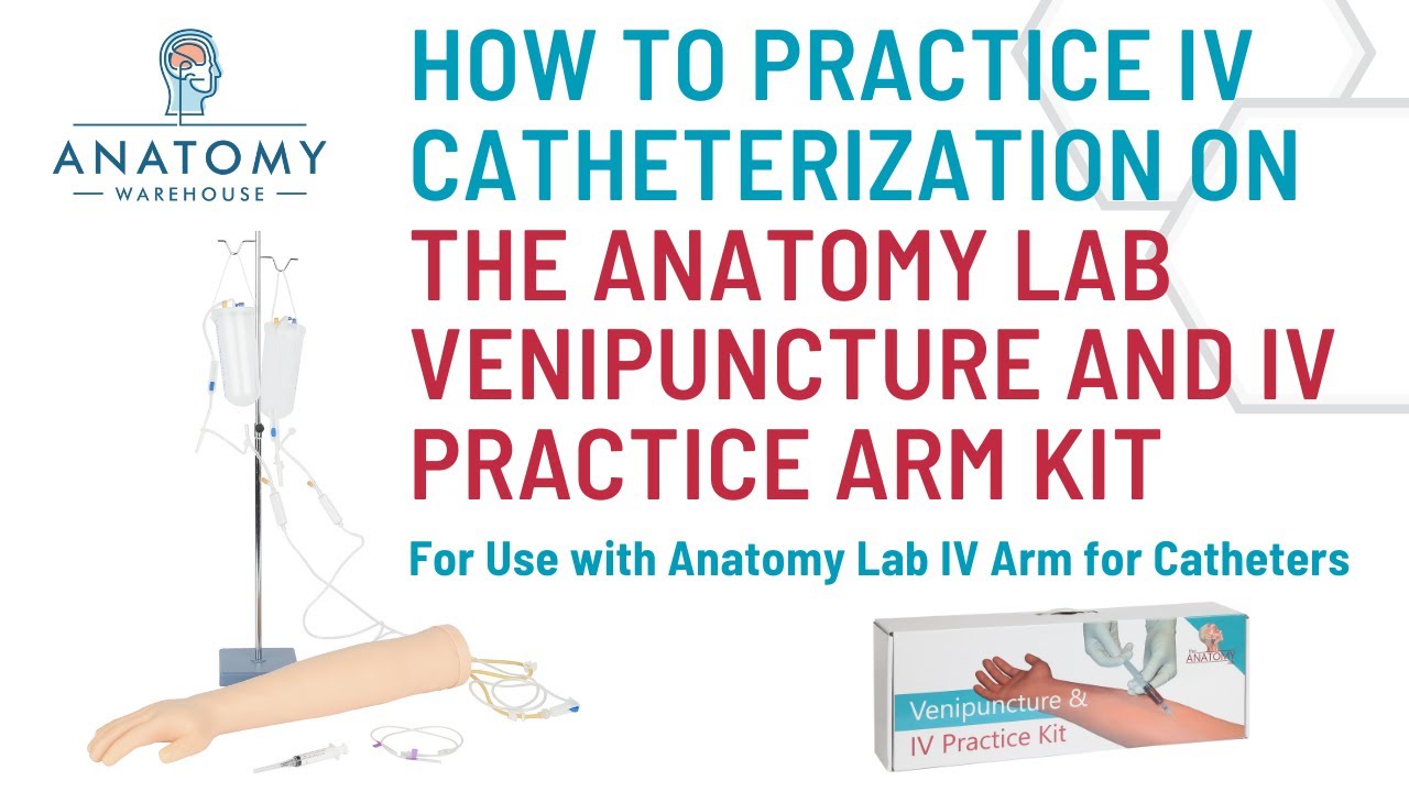 Practicing IV Catheterization w/ the Anatomy Lab Venipuncture & IV Practice Arm Kit & Simulation Arm