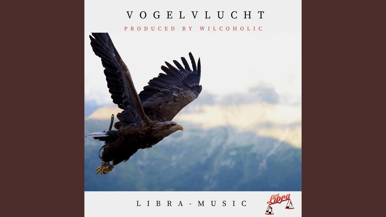 Vogelvlucht