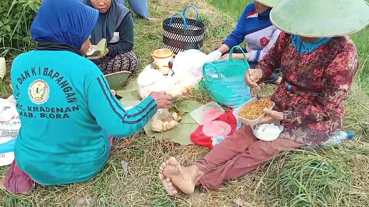 ALHAMDULILLAH SG NDUWE SAWAH APIK'AN GES, JARE LEPAS TAPI YO DI KIRIM FUL SAK JAJANE