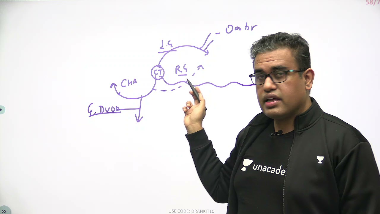 Coeliac Trunk | Anatomy Concepts -E3 | NEET PG & NEXT 23 | Dr Ankit Khandelwal