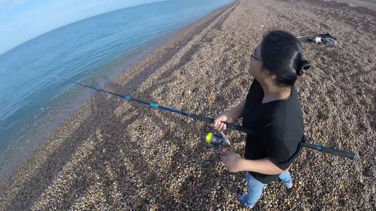 Mackerel Mayhem Montage - Mackerel Fishing At Chesil Beach