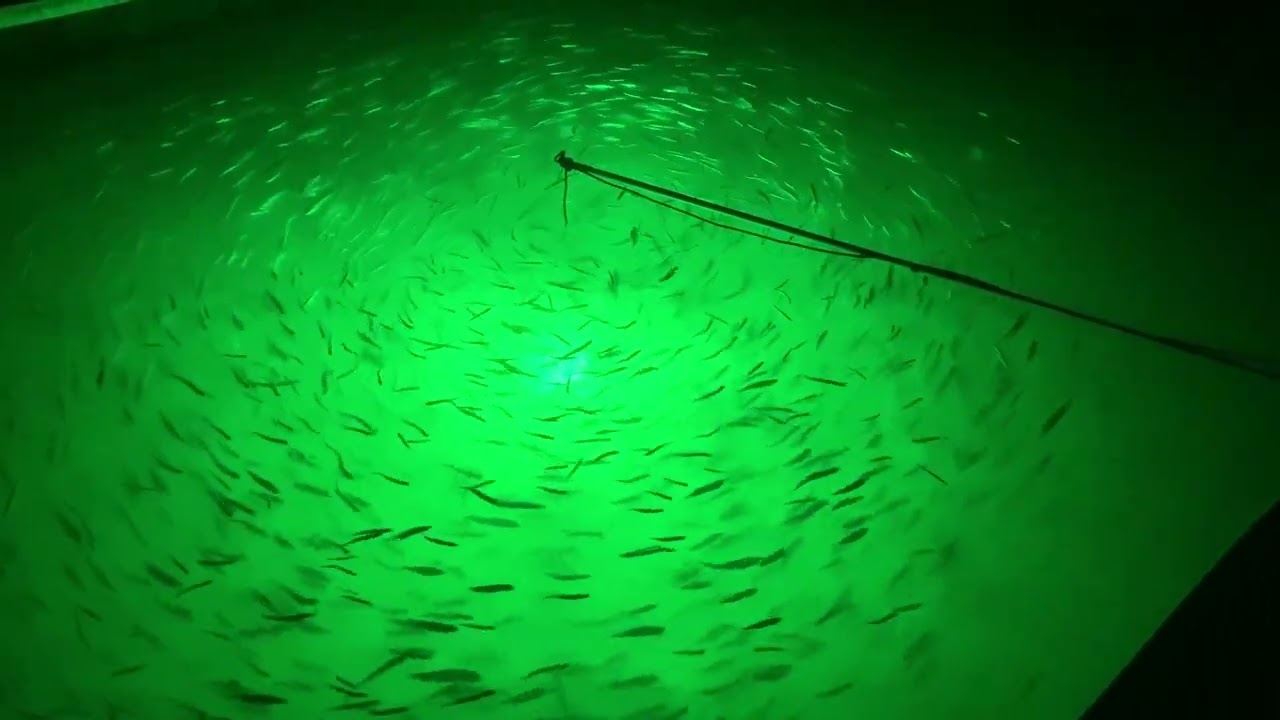 Fishing light