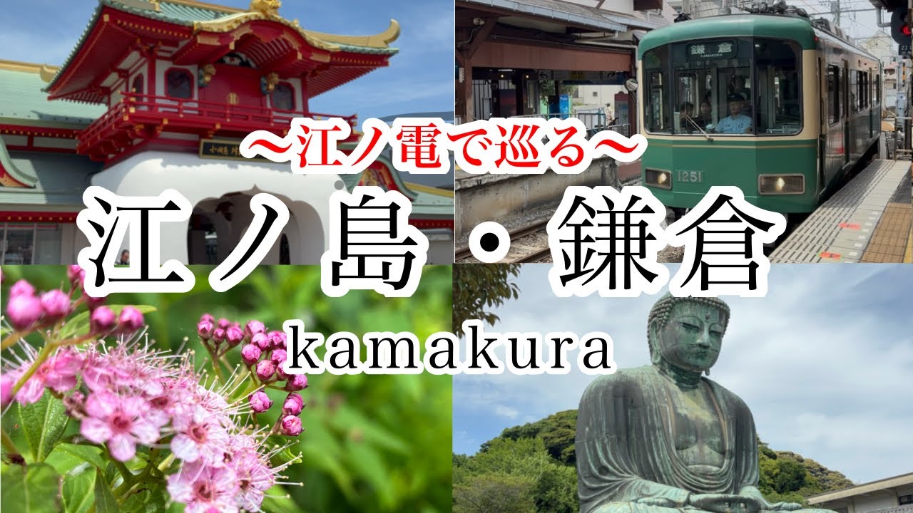 １日で巡る江ノ島・鎌倉の絶景旅！紫陽花とグルメを江ノ電で観光！！