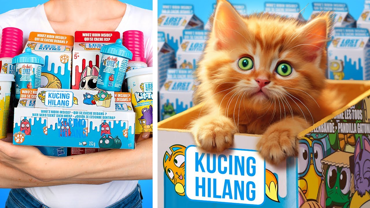 TANTANGAN KUCING HILANG !!! Siapa yang Bersembunyi di Dalam Kotak Raksasa Kucing? Unboxing BESAR!