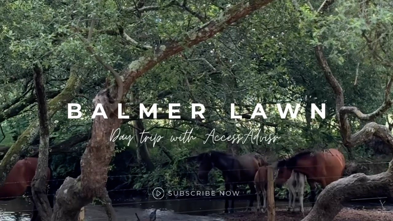 NEW AccessAdvisr visits | Balmer Lawn in the New Forest | & the Balmer Lawn Hote A must see