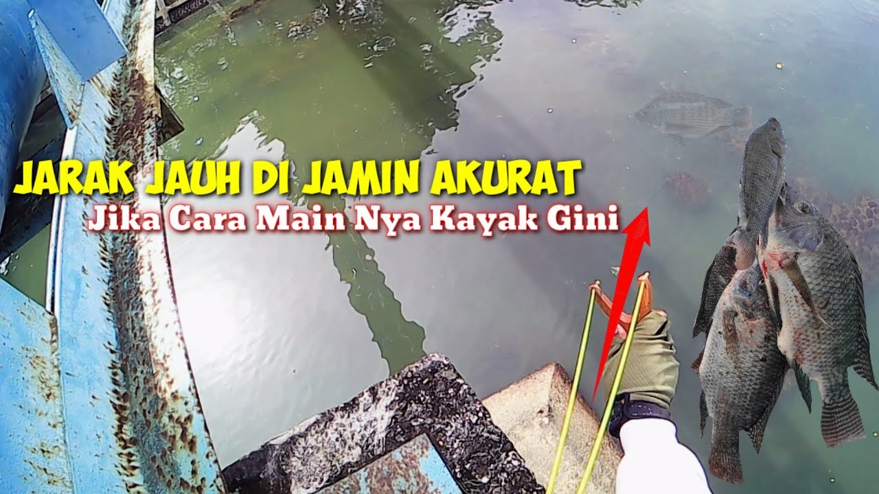 Kekuatan Jadi Kunci Akurat Nya Memainkan Ketapel Ikan