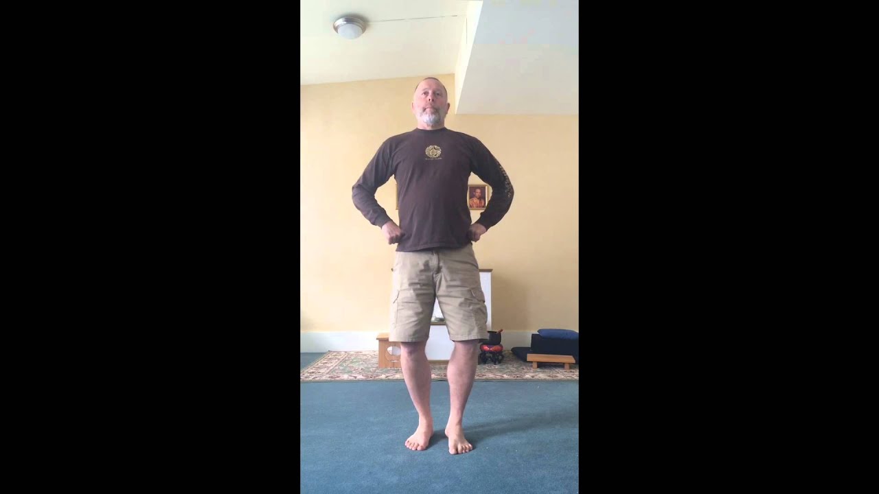 Hula Basics 1