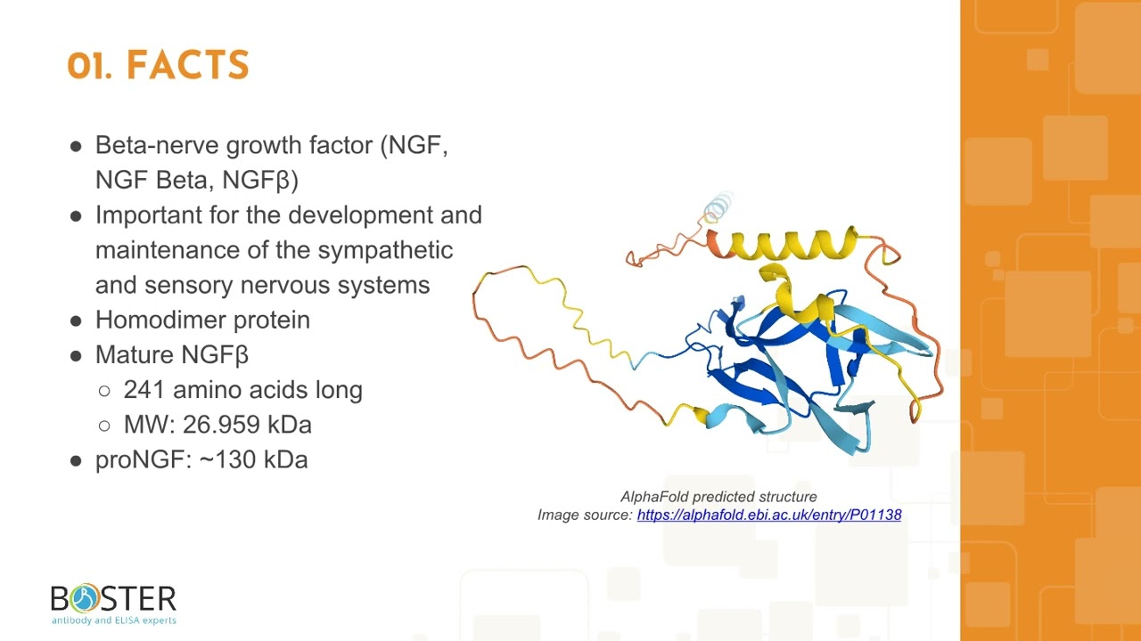 Learn NGF/NGF Beta in 3 minutes | Beta-nerve growth factor