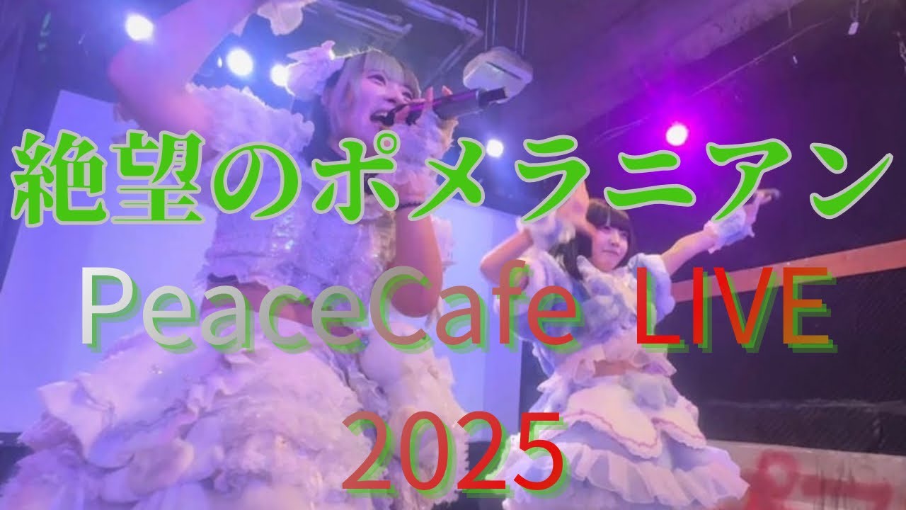 【絶望のポメラニアン】PeaceCafe LIVE 2025/12/21 ピースカフェ 【ぜつぽめちゃん】