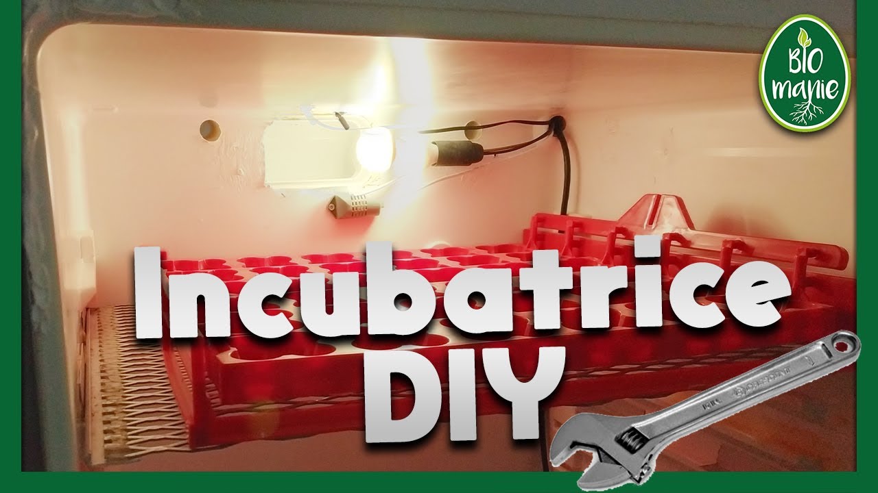 Come COSTRUIRE una INCUBATRICE FAI-DA-TE