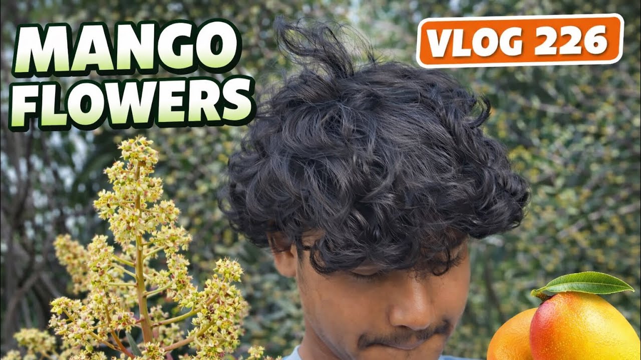 Sorry for late video  upload guys 🫂  vlog226