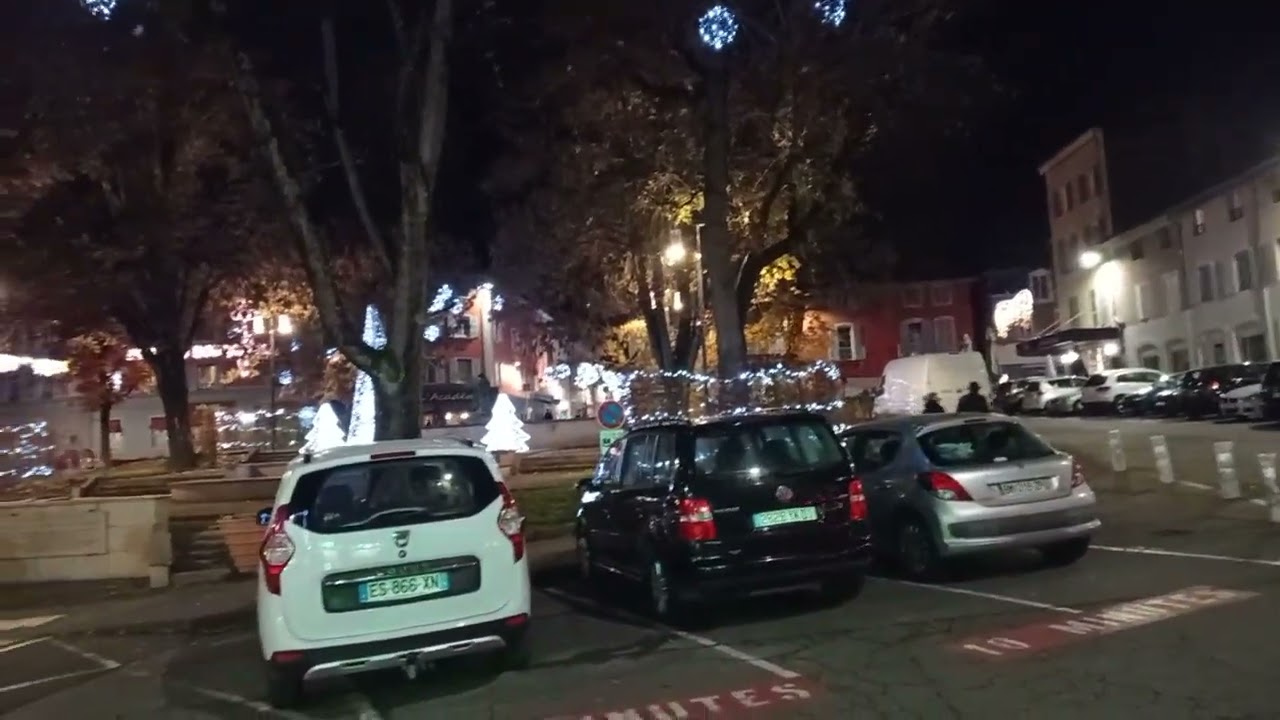 Город Макон, мороз, ходульки и орга'н.