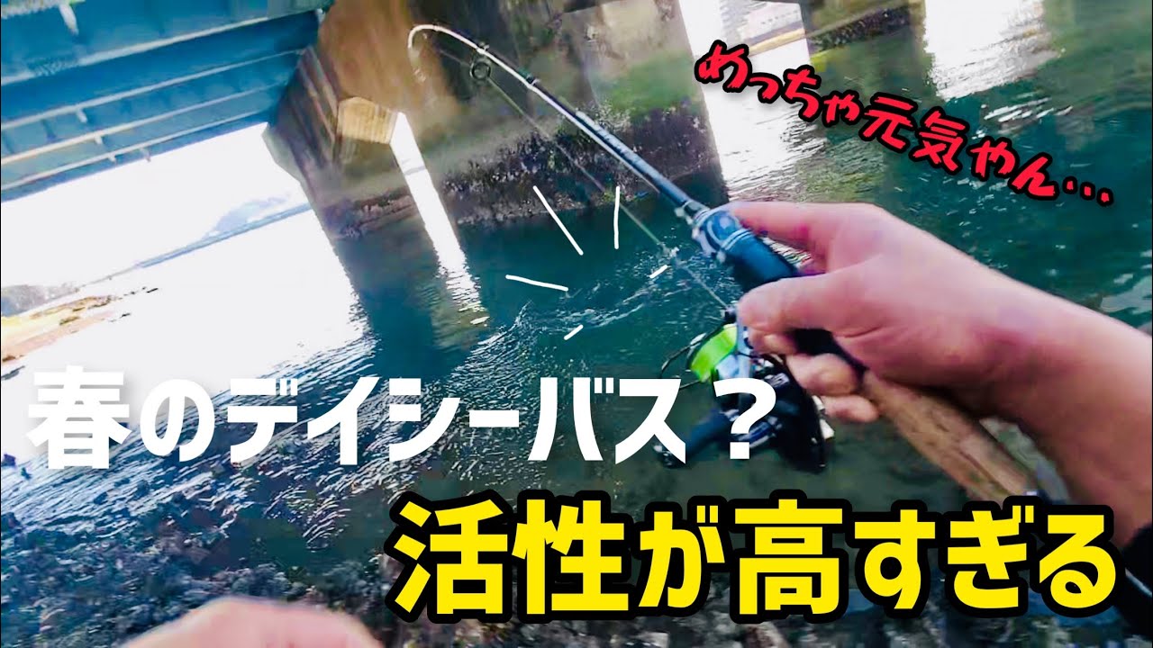 やっと春が来た！デイシーバスが楽しすぎた！