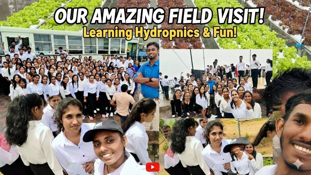 University field visit 🥰💛 sabaragmuwa university|•° faculty of technology|•දියතලාව |•#diyathalawa 