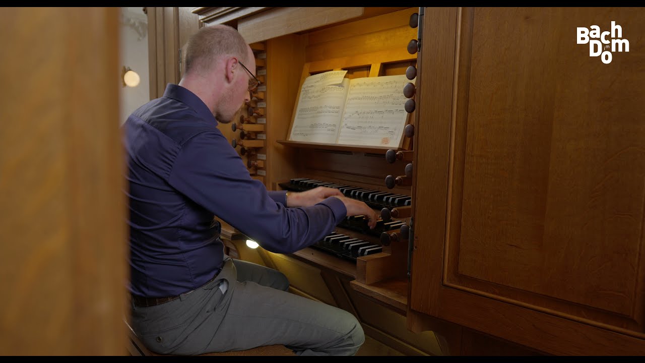 Bach im Dom // Das gesamte Orgelwerk von J. S. Bach auf der Arlesheimer Silbermann-Orgel