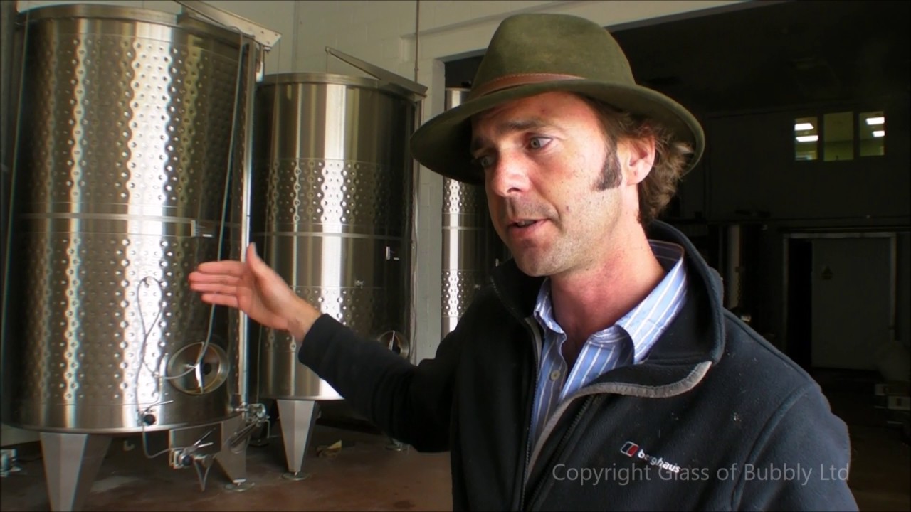 A visit to Exton Park Vineyard English Sparkling Wine