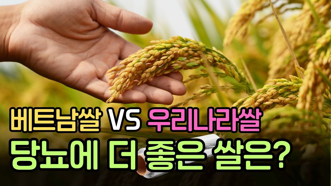 베트남쌀과 한국쌀 중 당뇨에 좋은쌀은?