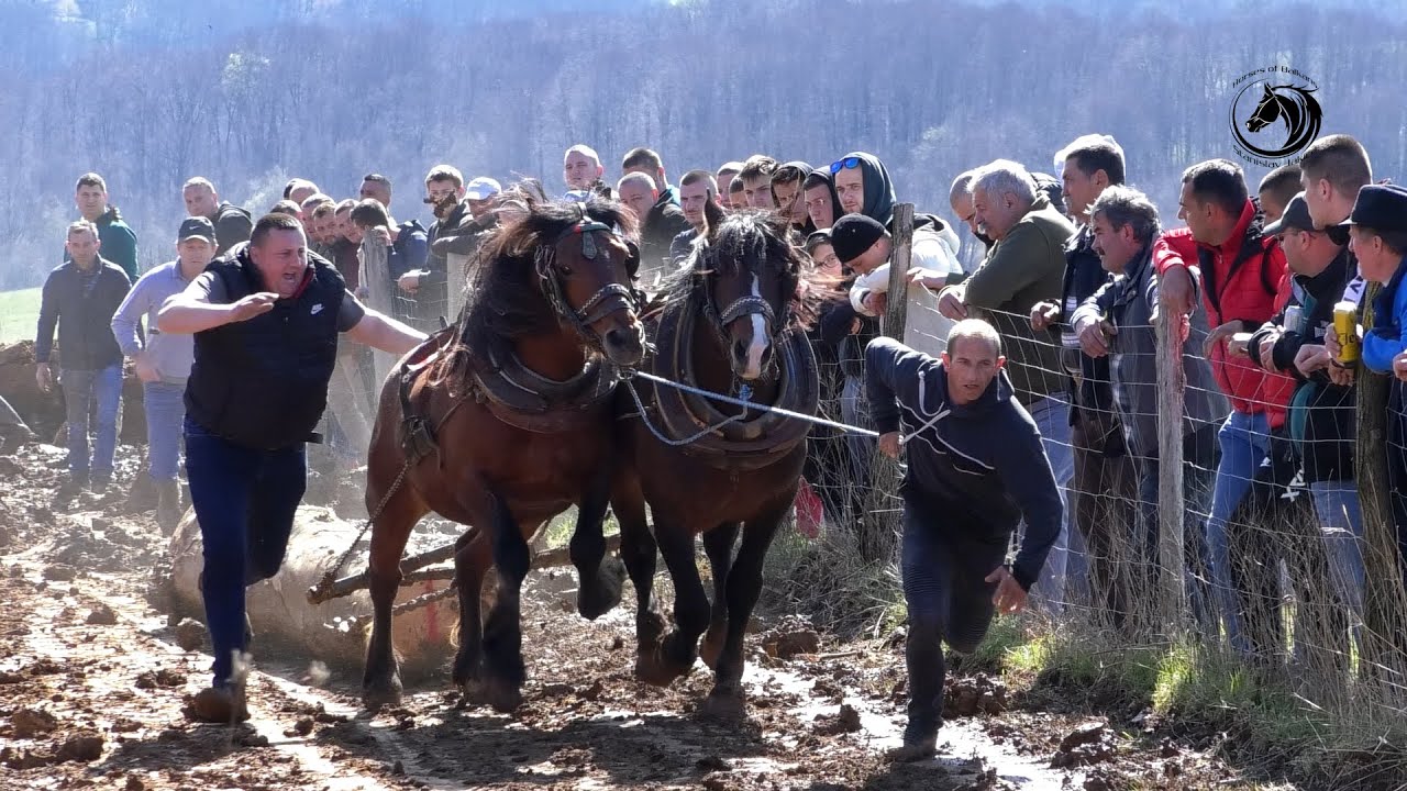 - BRAĆA BATAR ŠAMPIONI MELINE U PEROLAKOJ KATEGORIJI -