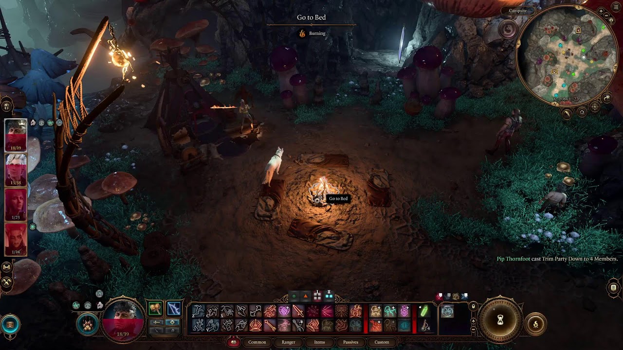 FIGHTING SPIDER - Baldurs Gate 3
