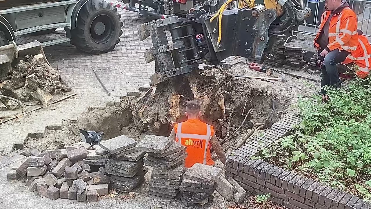 AH Vrij Boomkap Rijswijk Deel 2