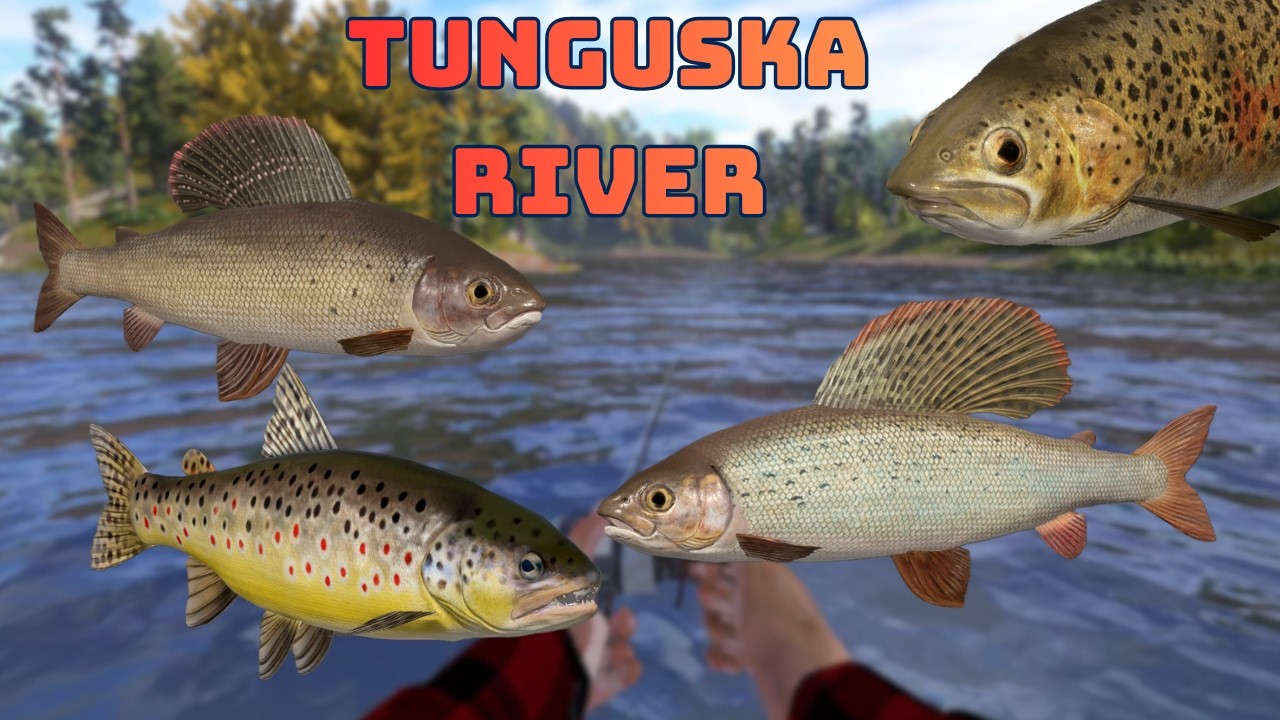 Tunguska River Przegląd - dobry zarobek mimo problem&oacute;w (74) Russian Fishing 4