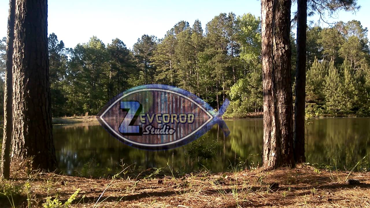 Instrumental Music - Successful Endeavor - Zevcorod Studio