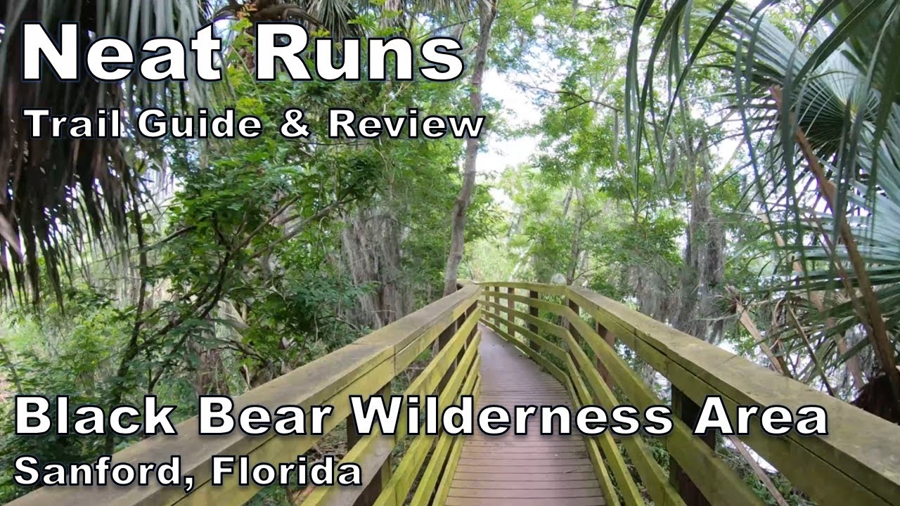 Black Bear Wilderness Area in Sanford Florida - Trail Guide & Review