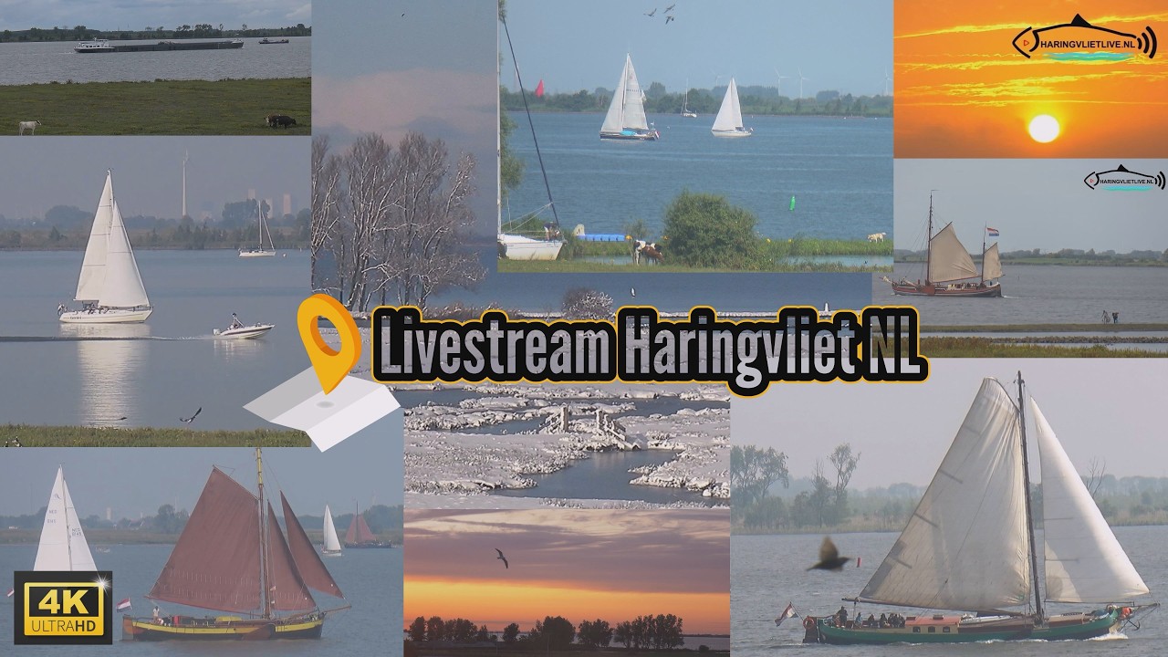 4K LIVE Haringvliet UNIEK OP GOEREE-OVERFLAKKEE (Nu ook te zien op TV!)