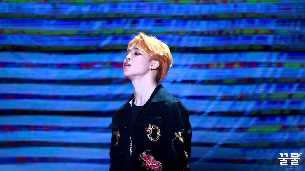 160122 광저우팬미팅 Butterfly 지민 (BTS JIMIN)