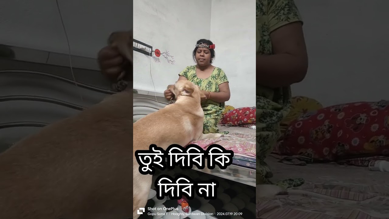 আমার বেল্ট টা বদ মেয়েটা পরে নিলো গো