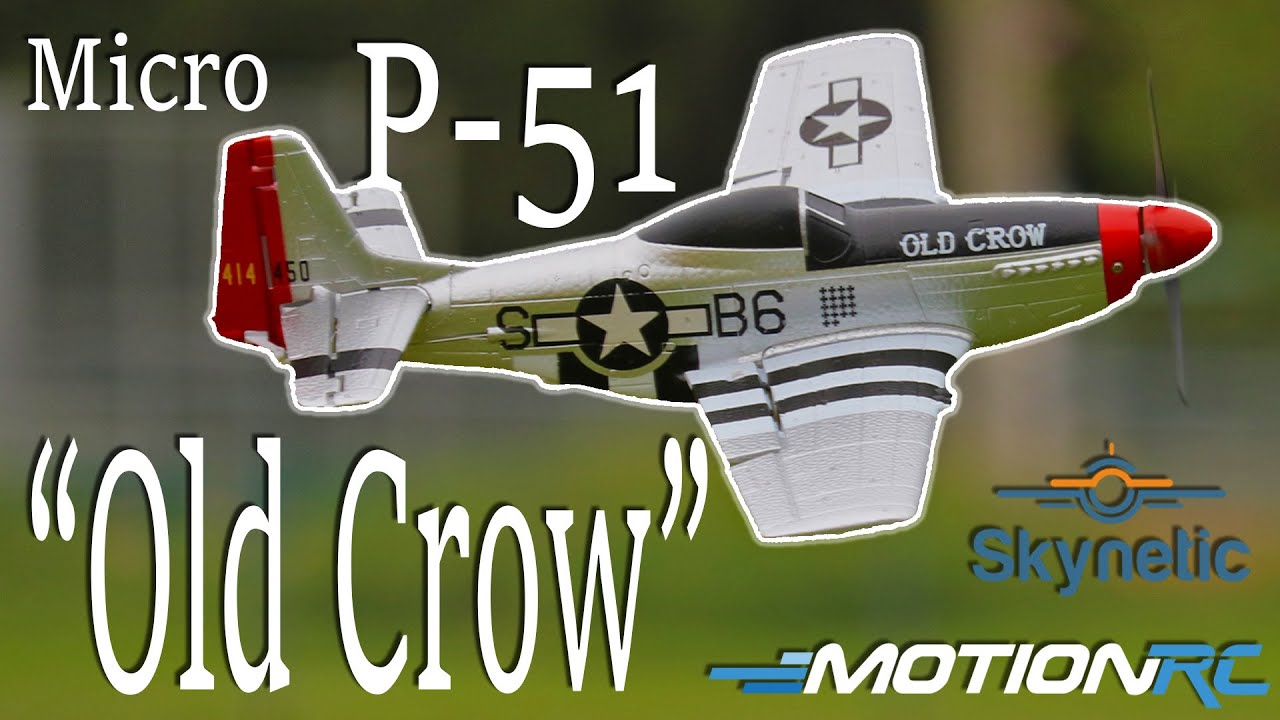 Skynetic Micro P-51 