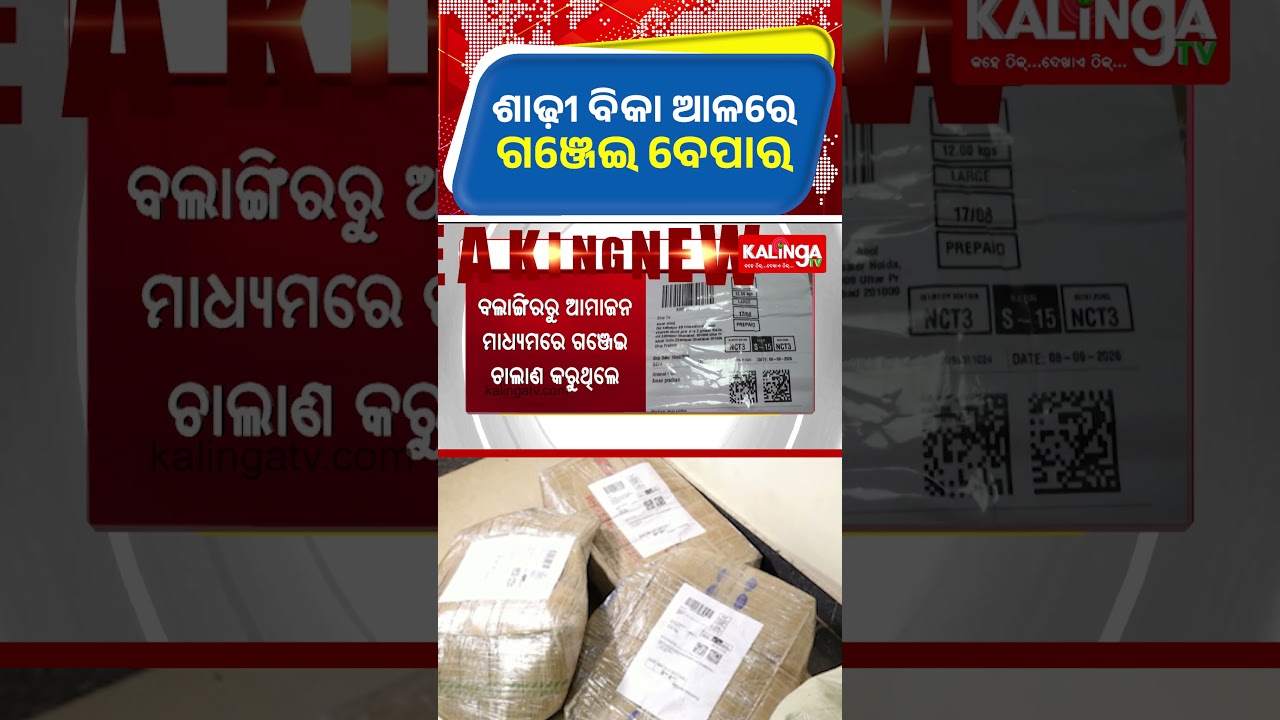 ଶାଢ଼ୀ ବିକା ଆଳରେ ଗଞ୍ଜେଇ ବେପାର || Kalinga TV