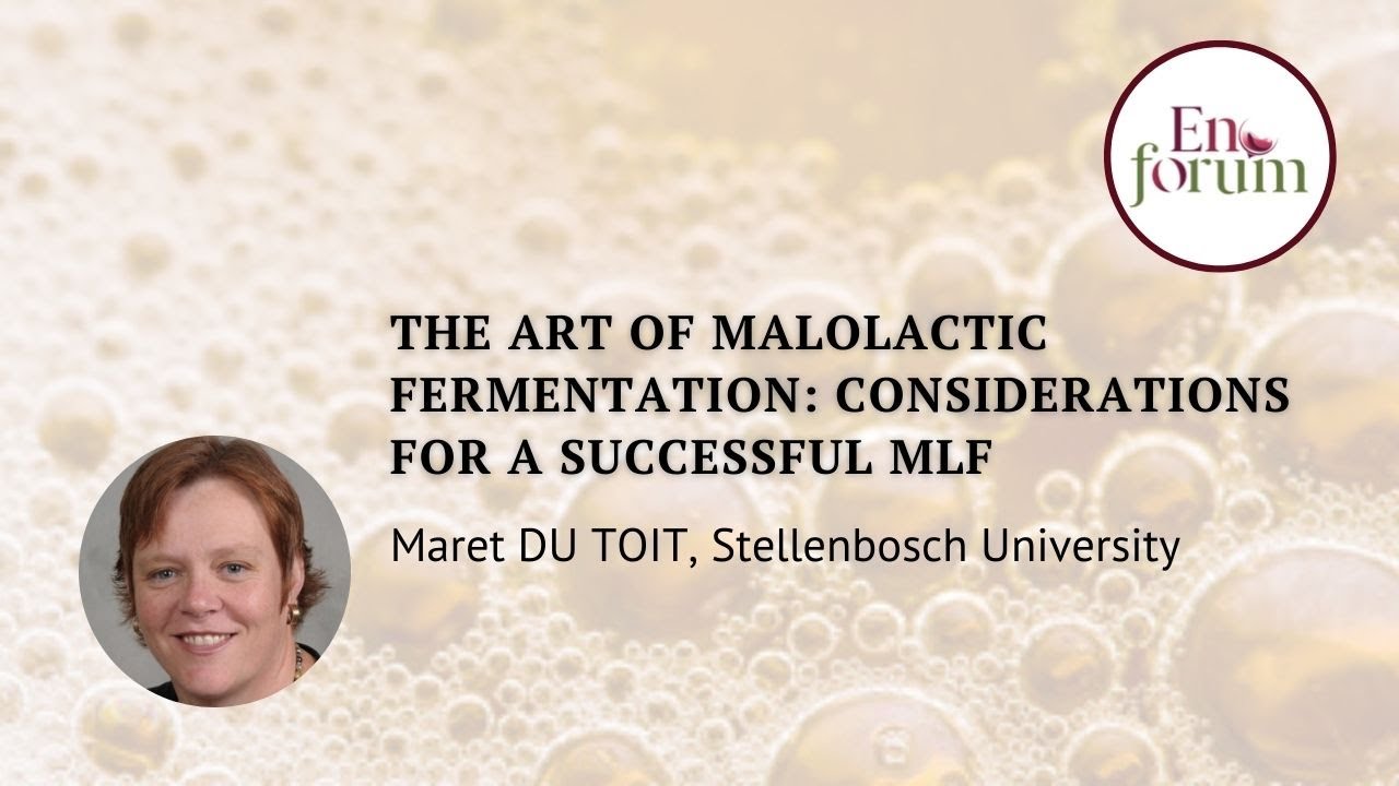 The Art of malolactic fermentation: Considerations for a successful MLF