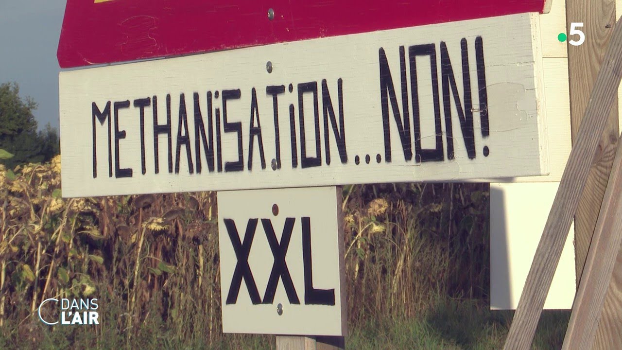 Ces éleveurs qui fabriquent du biogaz - reportage #cdanslair 01.10.2021