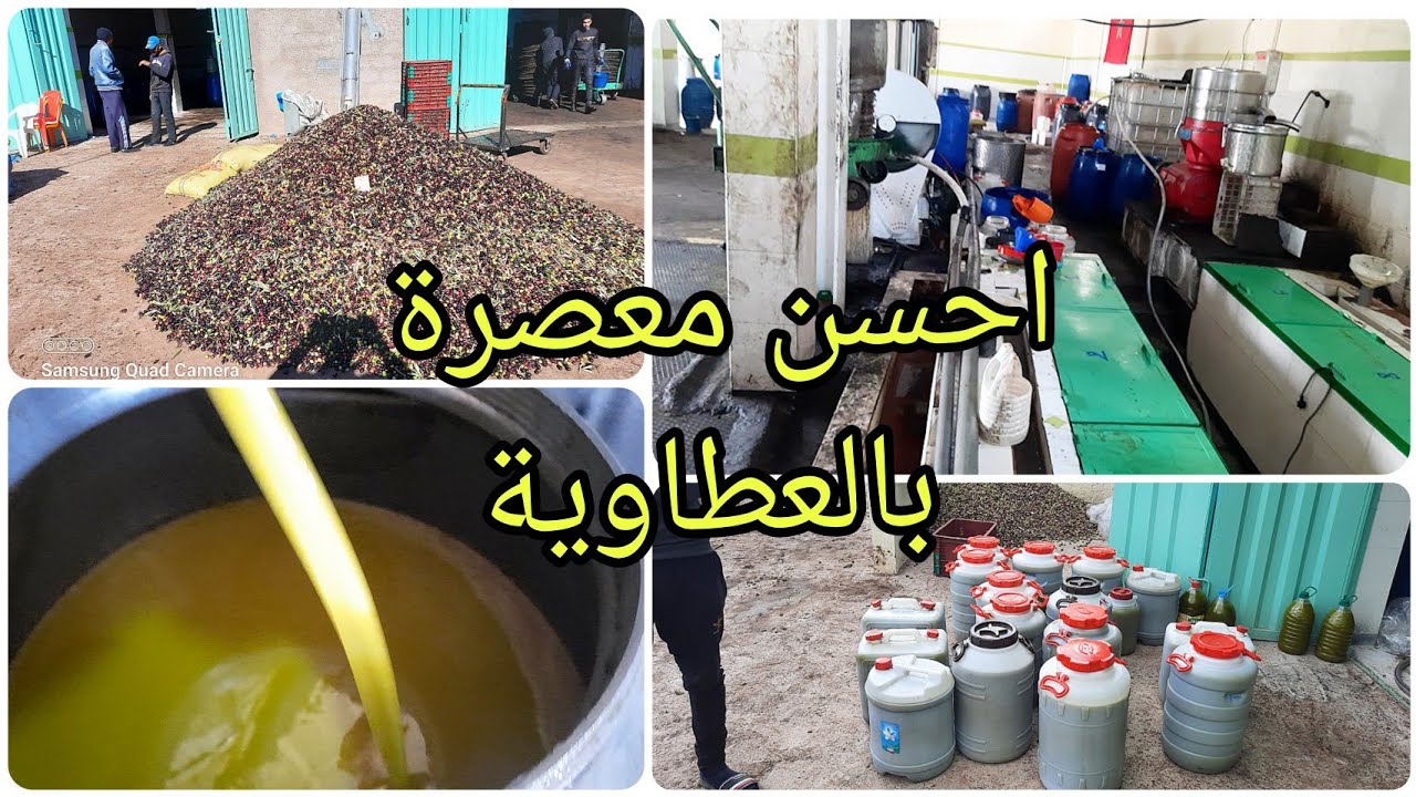 احسن معصرة بالعطاوية لطحن و عصر زيت الزيتون بجودة عالية و ثمن جد مناسب