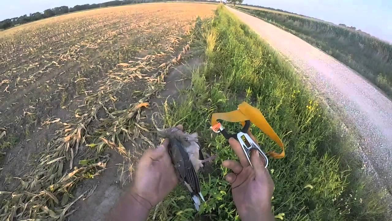 dove hunt, slingshot, marbles , 38 steel