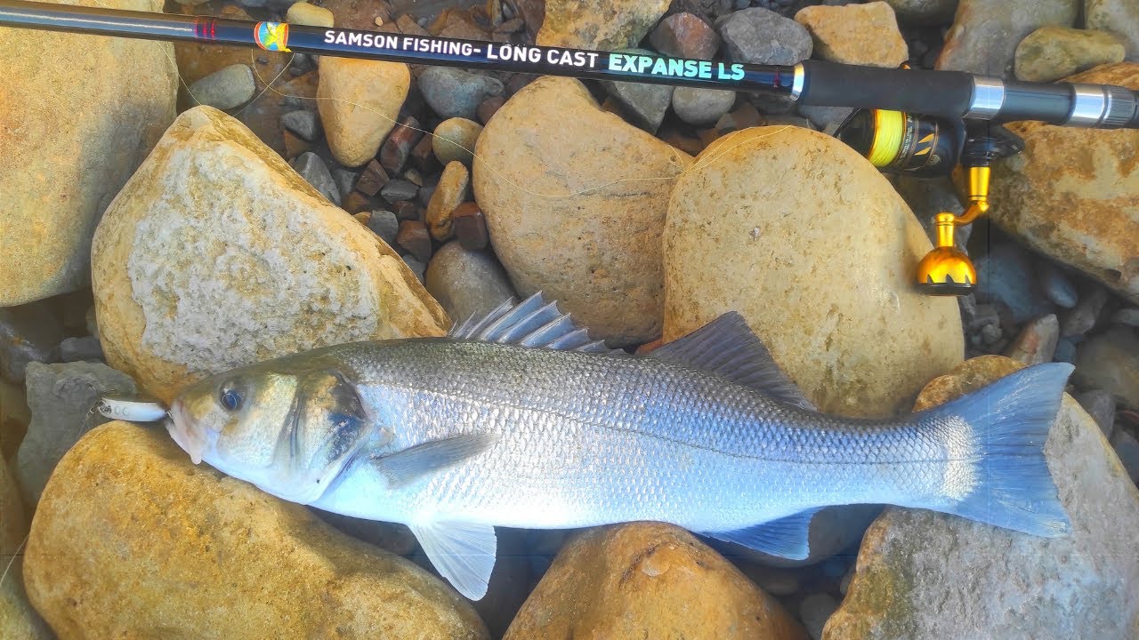 Samson Long Cast Expanse Spinning Rod 15-60g