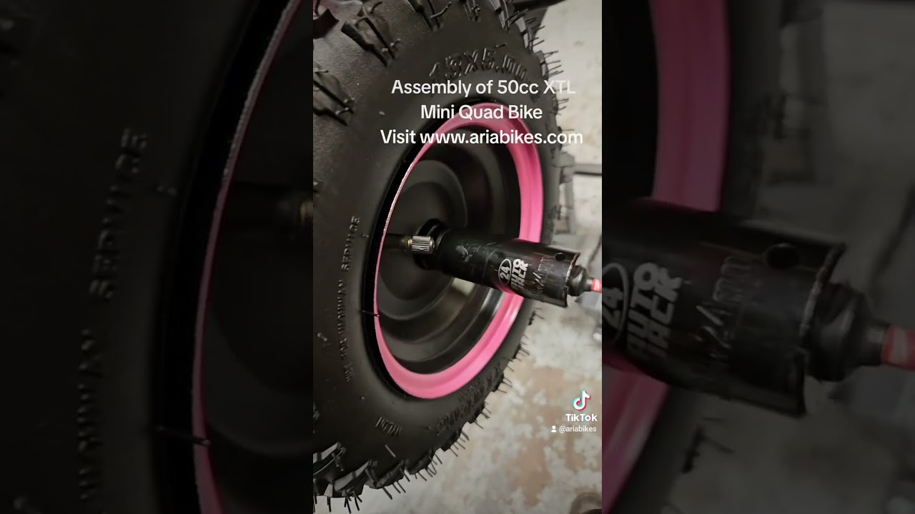 Assembly of 50cc XTL Mini Quad Bike