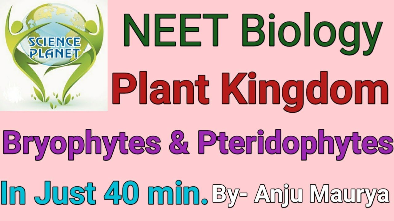 Plant Kingdom!!  Bryophytes & Pteridophytes!!  By- Anju Maurya!!