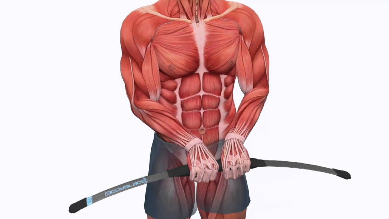 Bodyblade Total Results Fitness Program w/DVD, Chart & Guide on QVC