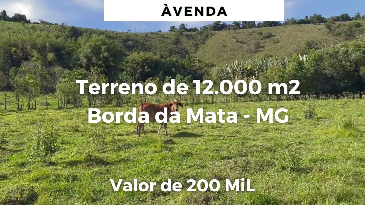 TERRENO DE 12.000 M2 À VENDA EM BORDA DA MATA MG - VALOR 200 DE MIL.
